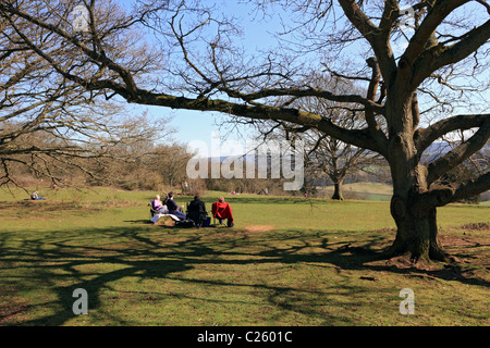 Newlands Corner Albury sur une partie de la North Downs près de Guildford, Surrey, Angleterre, Royaume-Uni Banque D'Images