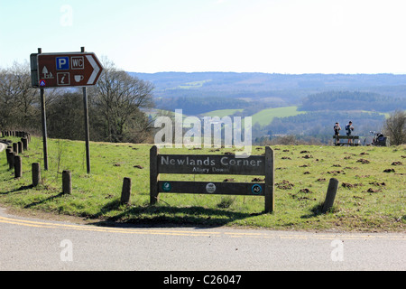 Newlands Corner Albury sur une partie de la North Downs près de Guildford, Surrey, Angleterre, Royaume-Uni Banque D'Images