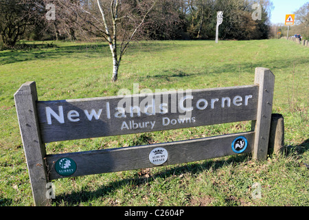 Newlands Corner Albury sur une partie de la North Downs près de Guildford, Surrey, Angleterre, Royaume-Uni Banque D'Images