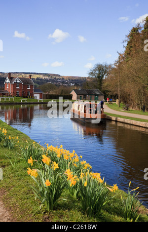 Froncysyllte, Wrexham, North Wales, UK. Vue sur le canal de Llangollen avec 15-04 et les jonquilles au printemps Banque D'Images