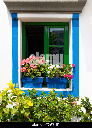 Géraniums en pots créer un affichage coloré dans une fenêtre à Puerto Mogan, Gran Canaria Banque D'Images