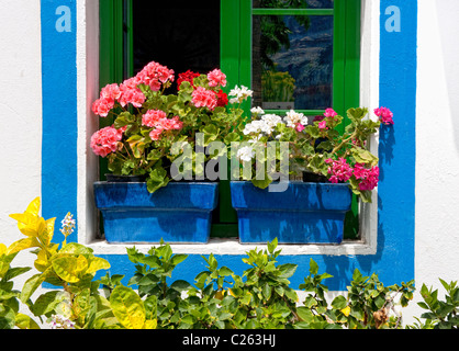 Géraniums en pots créer un affichage coloré dans une fenêtre à Puerto Mogan, Gran Canaria Banque D'Images