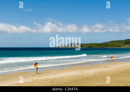 La plage à Kaka Point, le Nugget Point Catlins - au loin, au sud de l'île de la Nouvelle-Zélande Banque D'Images