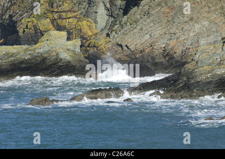 Le sein d'Abraham. Une falaise rocheuse bordée bay, près de Hamburg, au Pays de Galles. Banque D'Images