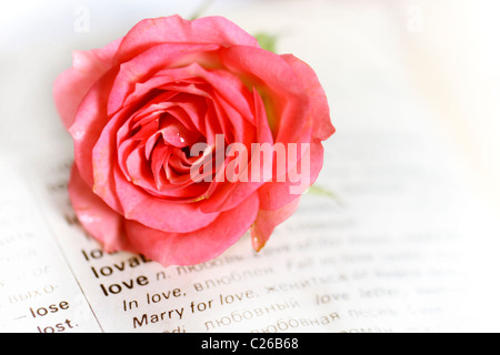 Romantique Vintage page avec une rose rose Banque D'Images