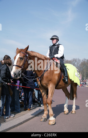 Agent de police métropolitaine monté au palais de Buckingham, Londres Banque D'Images