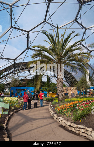 L'Eden Project, vue de l'intérieur, Cornwall, England, UK Banque D'Images