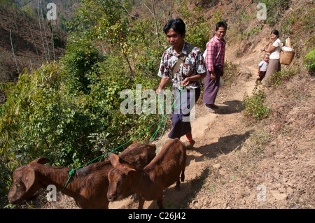 Trek de Nahmsen à Hsipaw. Le nord de l'État Shan. Myanmar Banque D'Images