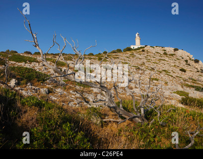 Île de Lastovo, Skrivena luka Banque D'Images