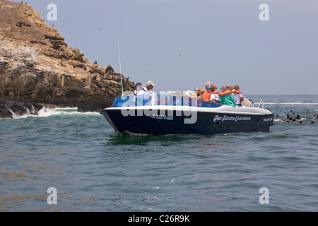 Bateau de tourisme, colonie de lions de mer, îles Palomino, Callao, Lima, Pérou Banque D'Images