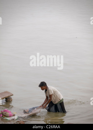 Homme faire la lessive à l'un des ghats de Varanasi, Inde Banque D'Images