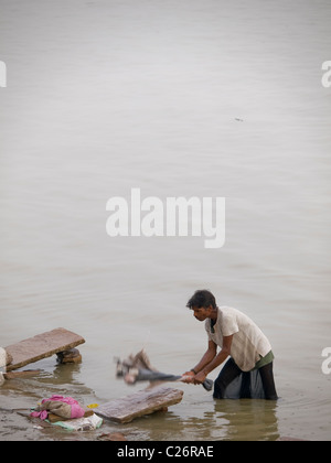 Homme faire la lessive à l'un des ghats de Varanasi, Inde Banque D'Images