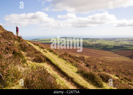 Sentier de randonnée Wicklow Way et les montagnes à l'automne sur une journée ensoleillée, l'Irlande Banque D'Images