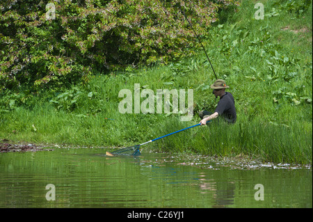 Un jeune pêcheur attraper une carpe dans son filet de l'atterrissage. Angleterre, Royaume-Uni Banque D'Images