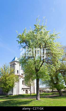 Église de l'Annonciation de la Bienheureuse Vierge Marie (Sydoriv village, région de Ternopil, Ukraine, construit en 1726-1730) Banque D'Images