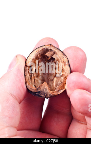 Coquille de noix dans la main sur fond blanc Banque D'Images