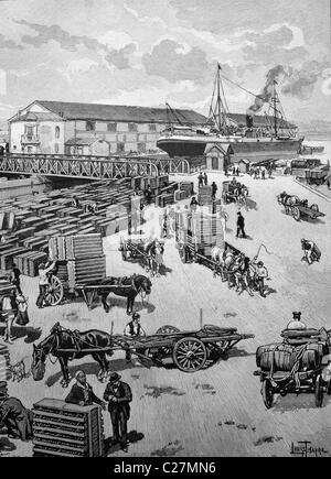 Débarquement d'un transport caille sortant de l'Egypte à Marseille, France, illustration historique vers 1893 Banque D'Images