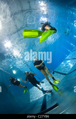 Une session de formation de plongée dans une piscine (France). Entraînement à la plongée sous-marine en piscine (France). Banque D'Images