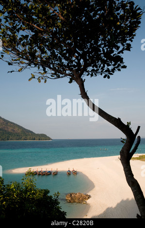 À longue queue thaïlandais traditionnels bateaux amarrés sur la plage, Sunrise Beach, Koh Lipe, Thaïlande Banque D'Images