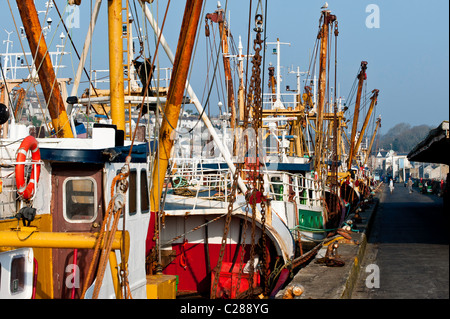 Le port de Newlyn, Penzance, Cornwall, United Kingdom Banque D'Images