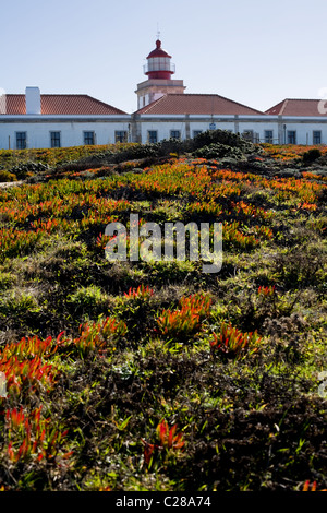 Le phare de Cap Sardão, Portugal Banque D'Images