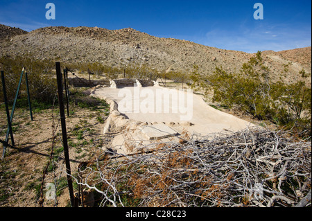 Goinfre de la faune dans le désert de Mojave Banque D'Images