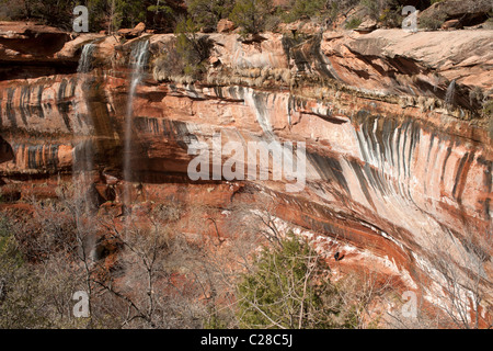 Les chutes depuis le milieu de l'Emerald Pool Piscine d'Emeraude, Zion Park nationale, au début du printemps. Banque D'Images