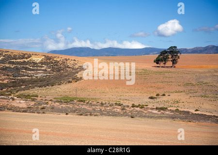 Paysage dans la région d'Overberg Caledon de Western Cape en Afrique du Sud - Le Cap - Afrique du Sud Banque D'Images