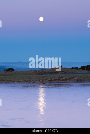 Avant l'aube, pleine lune reflétée dans la glace sur l'étang à Dartmoor, dans le Devon UK Banque D'Images