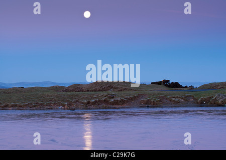 Avant l'aube, pleine lune reflétée dans la glace sur l'étang à Dartmoor, dans le Devon UK Banque D'Images