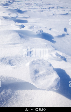 Empreintes de pieds de l'ours dans la neige - Svalbard, Norvège Banque D'Images