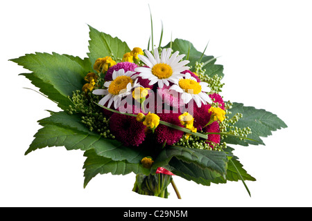 Bouquet de fleurs sauvages d'été isolé sur fond blanc Banque D'Images