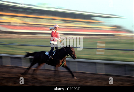 Femme jockey se lève dans les étriers pendant au Golden Gate décoré de champs . Banque D'Images