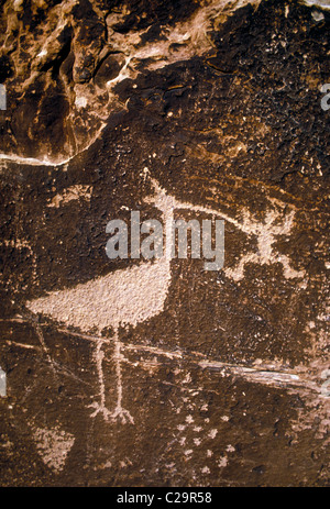 Petroglyph, des pétroglyphes, rock art, l'art préhistorique, la culture Anasazi, Pueblo Puerco Pueblo Puerco, ruines, le Parc National de la Forêt Pétrifiée, Arizona Banque D'Images