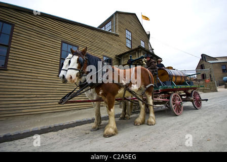 Un Clydesdale chevaux harnachés d'un wagon de l'eau dans une ville minière. Un cheval Clydesdale à profit pour un wagon de l'eau dans un Banque D'Images