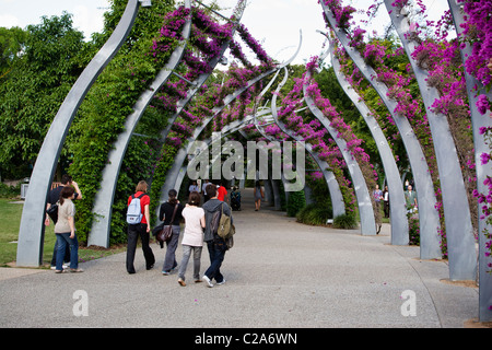 Southbank Arbour, Southbank Parklands, Brisbane, Australie Banque D'Images