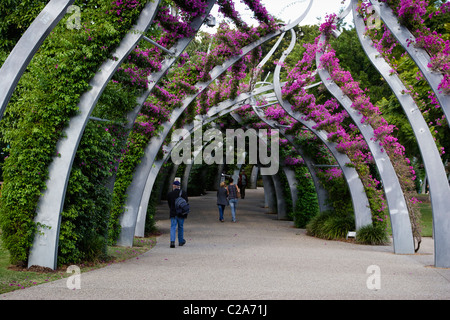 Southbank Arbour, Southbank Parklands, Brisbane, Australie Banque D'Images