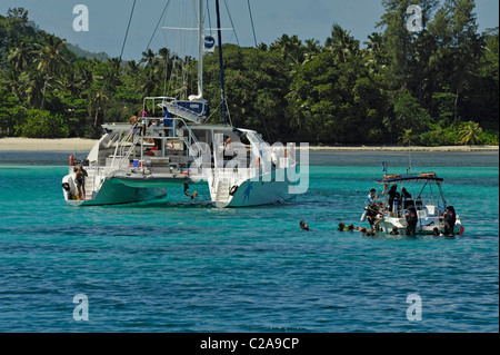 Catamaran plongée et bateau à Baie Ternay Marine National Park, l'île de Mahé, Seychelles Banque D'Images