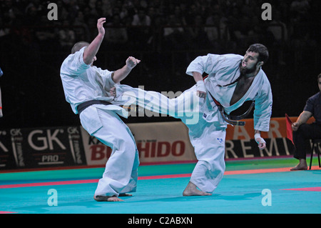 L'espagnol Alejandro Navarro remporte le tournoi international de karaté Kyokushinkai, Bercy championnat 27-31 au Festival des Arts Martiaux de Bercy, Paris. L'un des principaux événements d'arts martiaux qui se déroule à Paris dans le Palais Omnisports de Paris-Bercy. Les Arts Martiaux Festival attire plus de 15 000 visiteurs par an et est l'occasion d'explorer les subtilités du Ninjutsu, Aïkido, Karaté, Kung Fu et bien d'autres arts. Banque D'Images