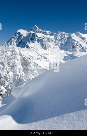 Le mont Shuksan 9 127 pieds (2 782 m) en hiver vu de Kulshan Ridge de Heather Meadows Recreation Area, North Cascades Washingt Banque D'Images