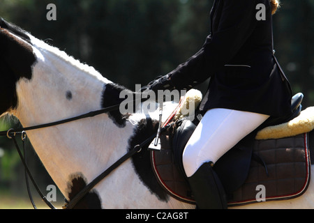 Prêt pour la course de chevaux Banque D'Images