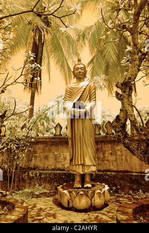 Bouddha Debout dans le sol de Wat Choum Khong Soulinthaham Banque D'Images