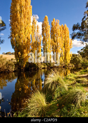 Rivière de Thredbo, montagnes enneigées, NSW, Australie. L'automne Banque D'Images