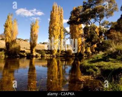 Rivière de Thredbo, montagnes enneigées, NSW, Australie. L'automne Banque D'Images