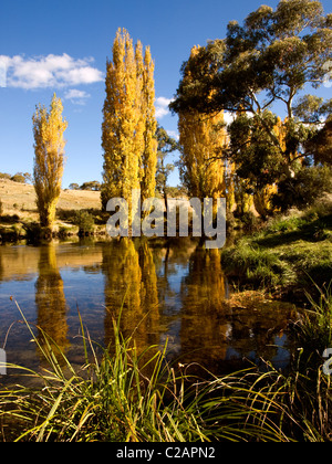 Rivière de Thredbo, montagnes enneigées, NSW, Australie. L'automne Banque D'Images