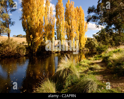 Rivière de Thredbo, montagnes enneigées, NSW, Australie. L'automne Banque D'Images