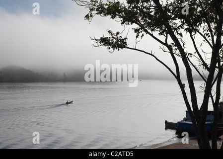 L'Amérique du Sud, Amazone, brouillard sur les forêts tropicales le long de la rivière Banque D'Images