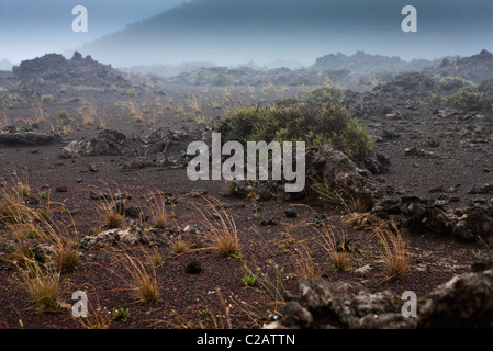 Plaine des Sables près de volcan Piton de la Fournaise, à la Réunion (département français d'outre-mer dans l'Océan Indien) Banque D'Images