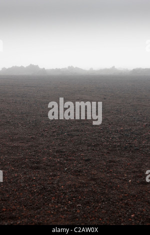 Plaine des Sables près de volcan Piton de la Fournaise, à la Réunion (département français d'outre-mer dans l'Océan Indien) Banque D'Images