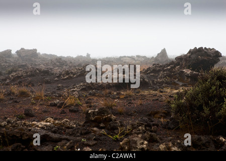 Plaine des Sables près de volcan Piton de la Fournaise, à la Réunion (département français d'outre-mer dans l'Océan Indien) Banque D'Images